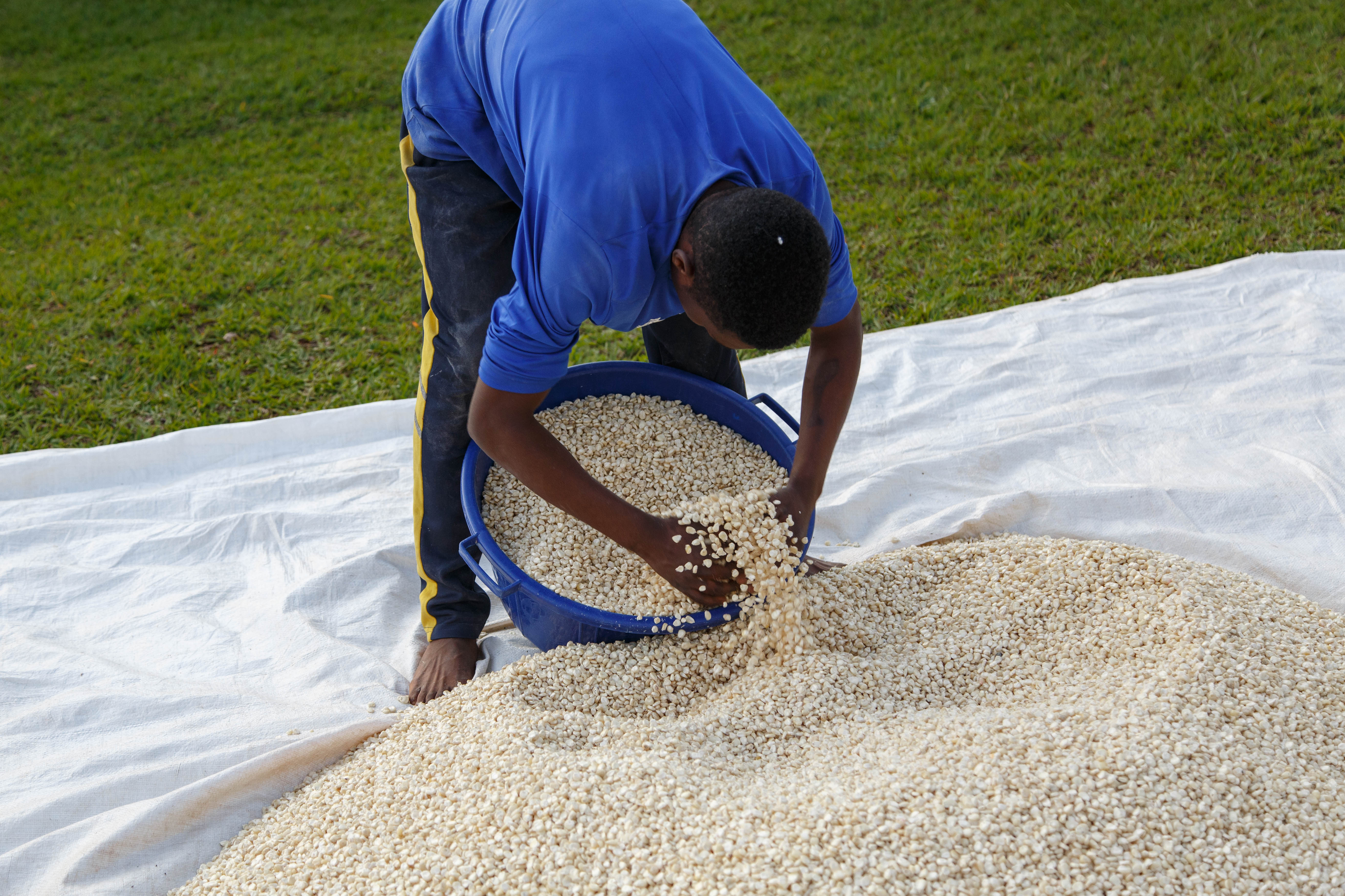 Flour Mill and Farming